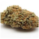 Шишки AK47 (Гидропоника, Бошка) VHQ в Пензе Шишки AK47 (Гидропоника, Бошка) VHQ в Пензе