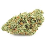 Шишки OG Kush (Гидропоника, бошки) VHQ в Пензе Шишки OG Kush (Гидропоника, бошки) VHQ в Пензе